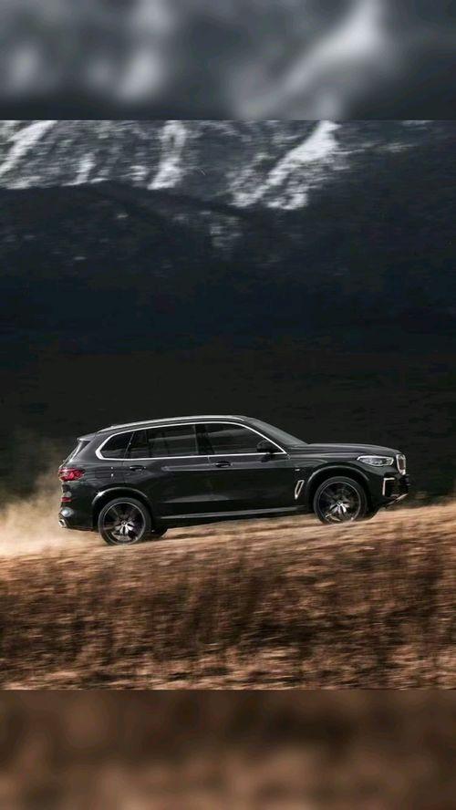 国产真实系列,揭秘中国本土文化的魅力与传承 第3张 国产真实系列,揭秘中国本土文化的魅力与传承 第3张